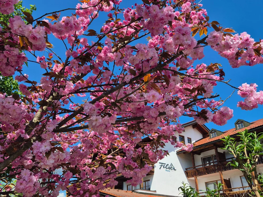 Das etwas andere Füssen – im Filser
