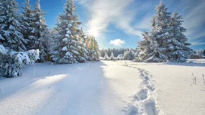 Das etwas andere Füssen – im Filser