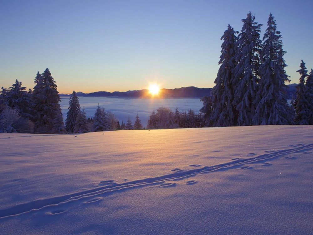Das etwas andere Füssen – im Filser