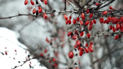 Das etwas andere Füssen – im Filser