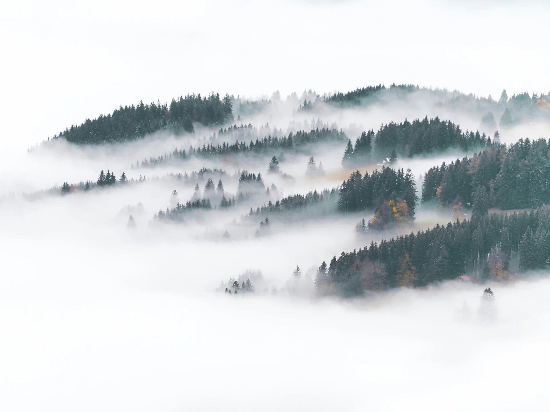 Das etwas andere Füssen – im Filser Das etwas andere Füssen – im Filser